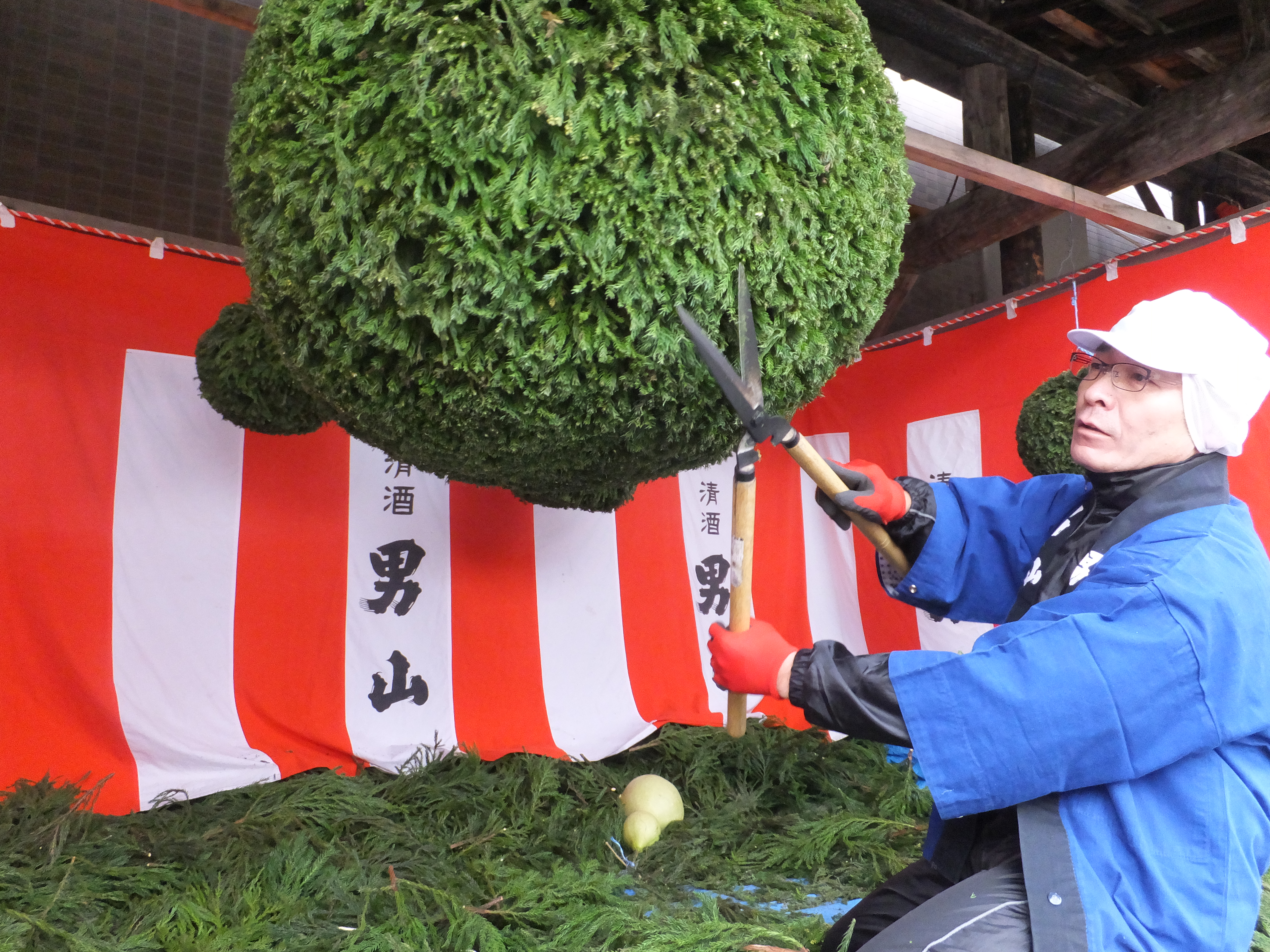 11月1日、2日「酒林（杉玉）つくり」の様子を一般公開します！
